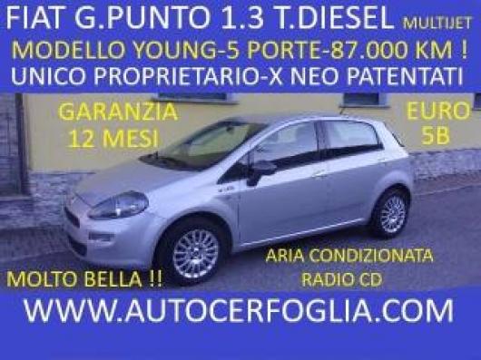 usato FIAT Punto