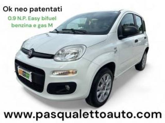 usato FIAT Panda