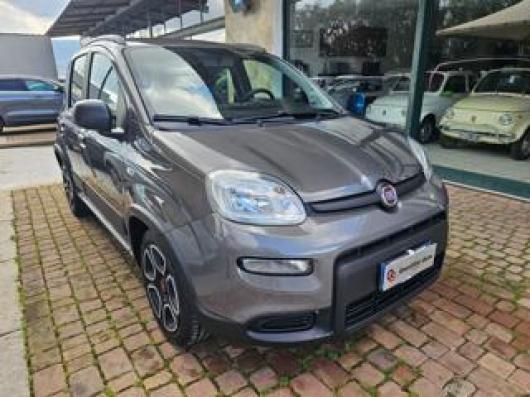 usato FIAT Panda