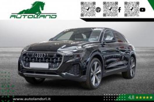 usato AUDI Q8