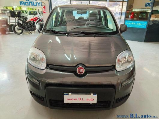 usato FIAT Panda