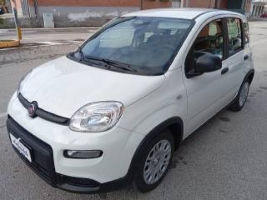 usato FIAT Panda