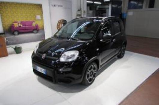 usato FIAT Panda