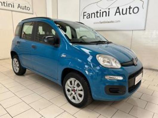 usato FIAT Panda