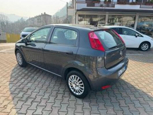 usato FIAT Punto