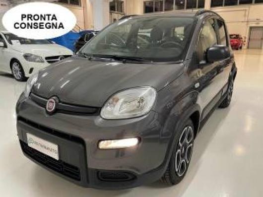 usato FIAT Panda