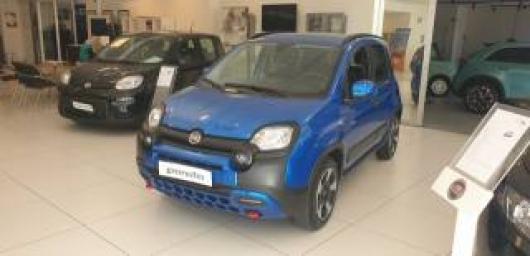 usato FIAT Panda Cross