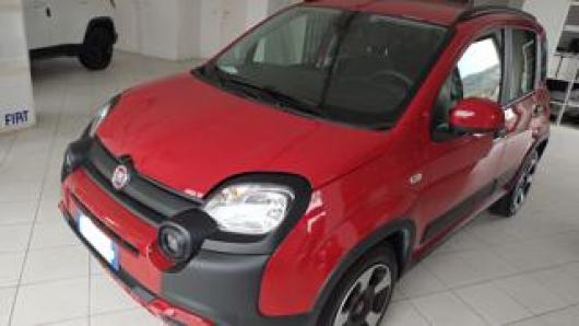 usato FIAT Panda Cross