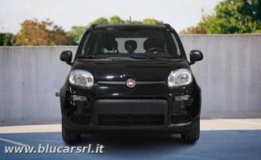 usato FIAT Panda