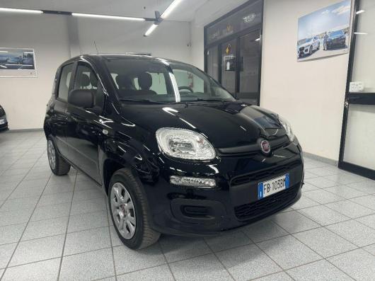 usato FIAT New Panda