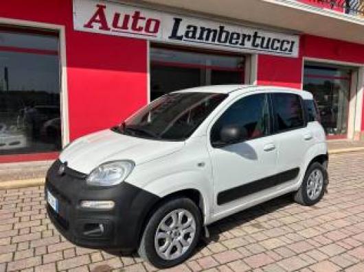 usato FIAT Panda