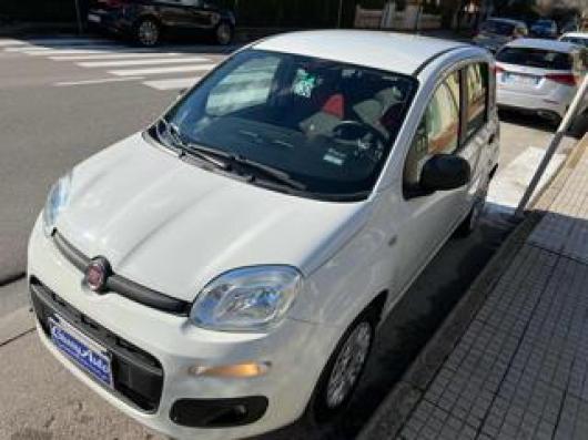 usato FIAT Panda