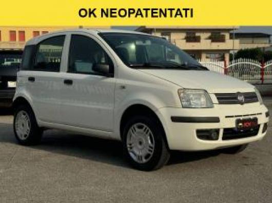 usato FIAT Panda