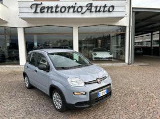 usato FIAT Panda