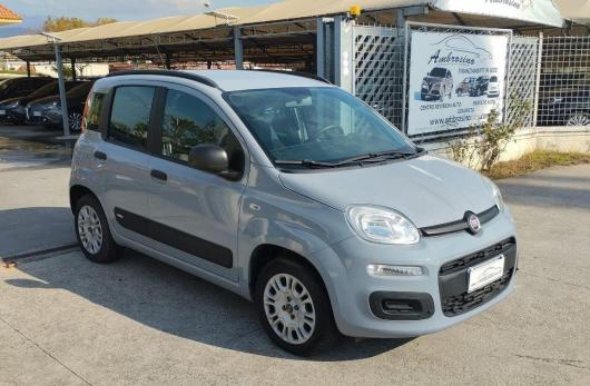 usato FIAT Panda