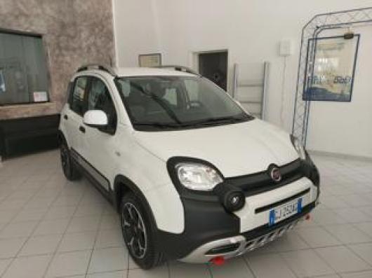 usato FIAT Panda Cross