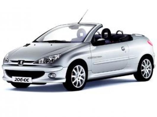 usato PEUGEOT 206