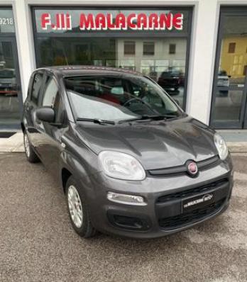 usato FIAT Panda