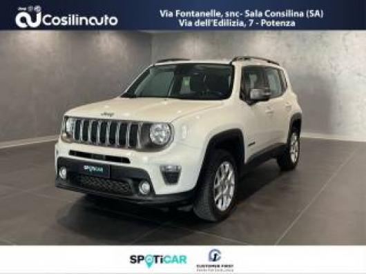 usato JEEP Renegade