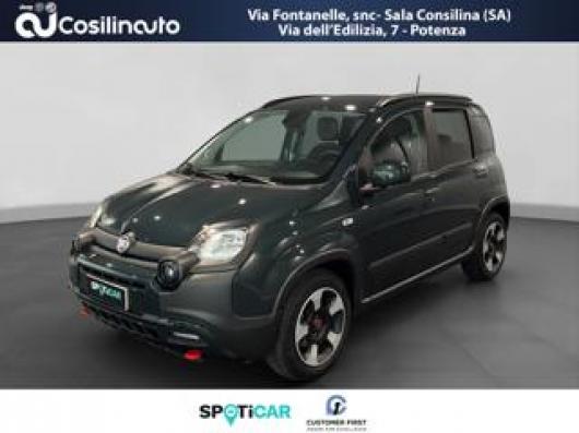 usato FIAT Panda Cross