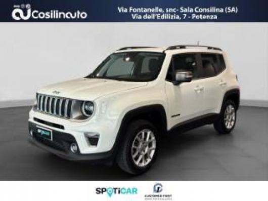 usato JEEP Renegade