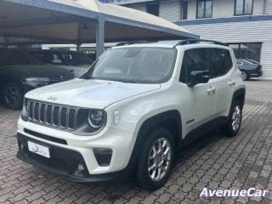 usato JEEP Renegade