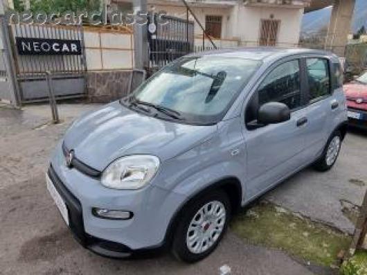 usato FIAT Panda