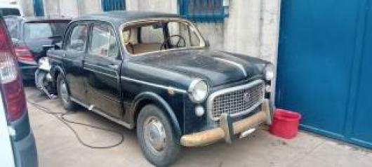 usato FIAT 1100