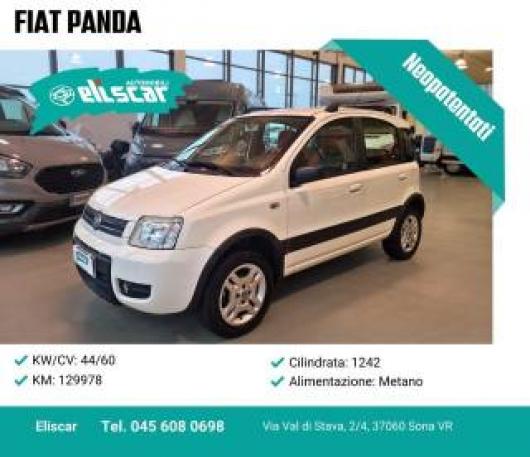 usato FIAT Panda