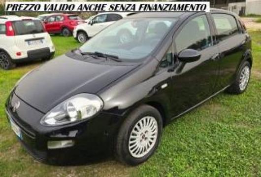 usato FIAT Punto