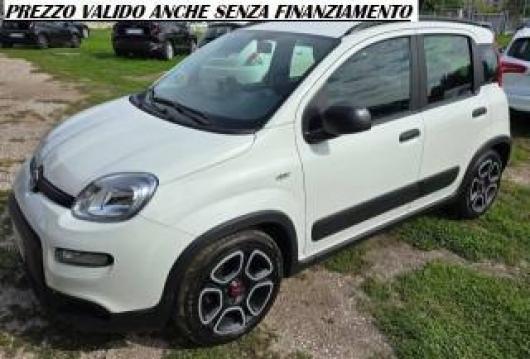 usato FIAT Panda