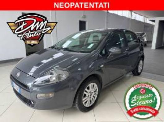 usato FIAT Punto