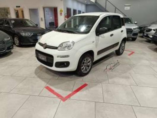 usato FIAT Panda