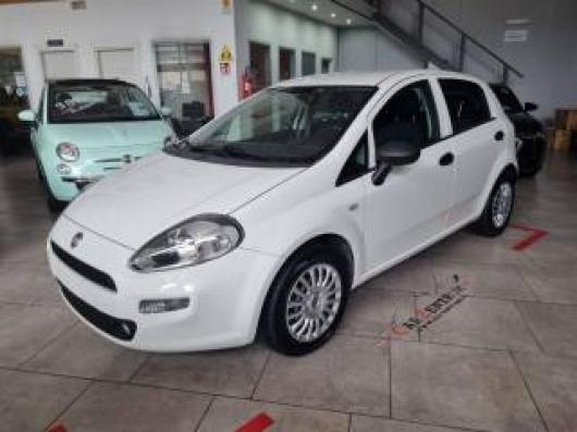 usato FIAT Punto