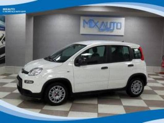 usato FIAT Panda