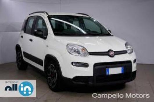 usato FIAT Panda