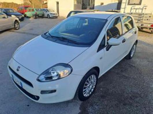 usato FIAT Punto