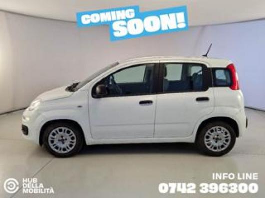 usato FIAT Panda