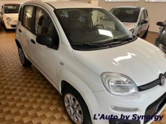 usato FIAT Panda