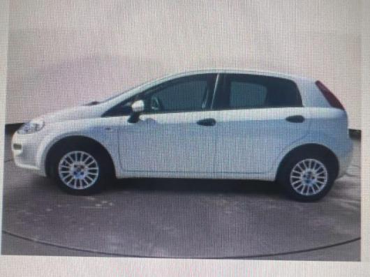 usato FIAT Punto