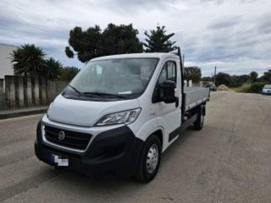 usato FIAT Ducato