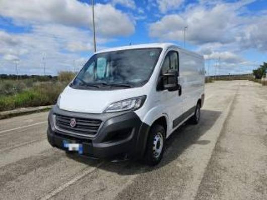 usato FIAT Ducato