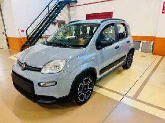 usato FIAT New Panda