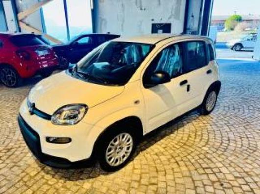 usato FIAT New Panda