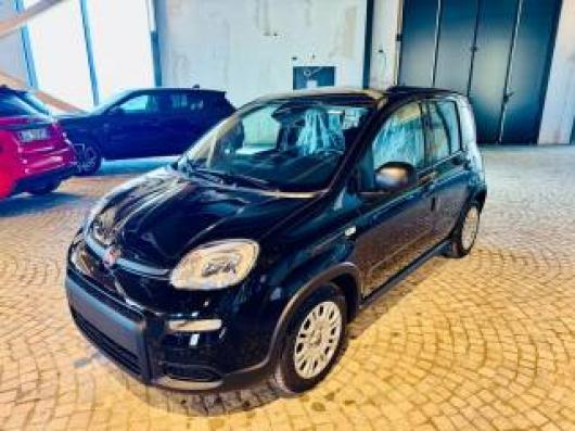 usato FIAT New Panda