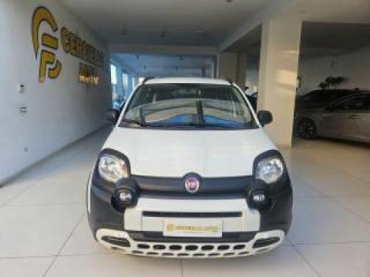 usato FIAT Panda