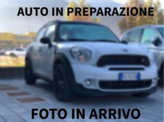 usato MINI Countryman