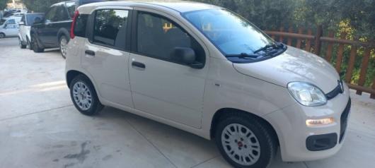 usato FIAT Panda