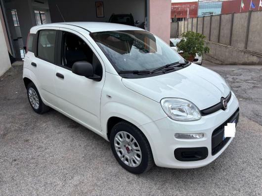 usato FIAT Panda