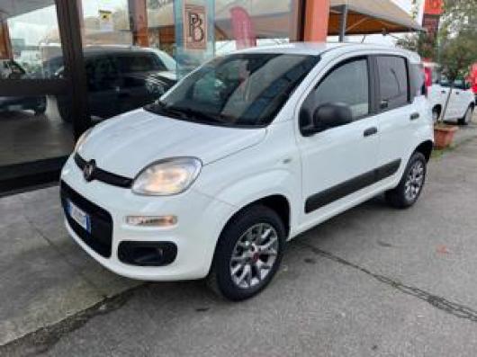 usato FIAT Panda